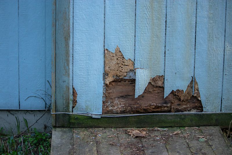 Exterior Wood Damage