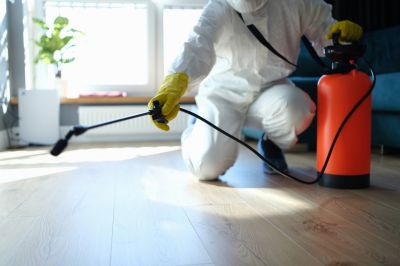Insect Control Service in Frisco, TX