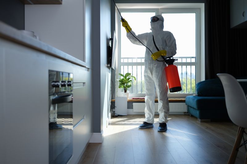Ladybug Removal in Frisco, TX