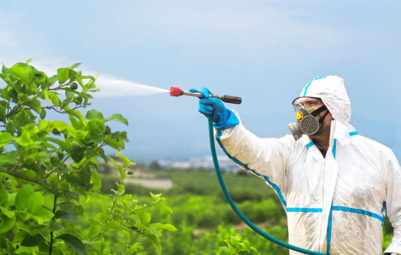 Pest Fumigation Service in Katy, TX