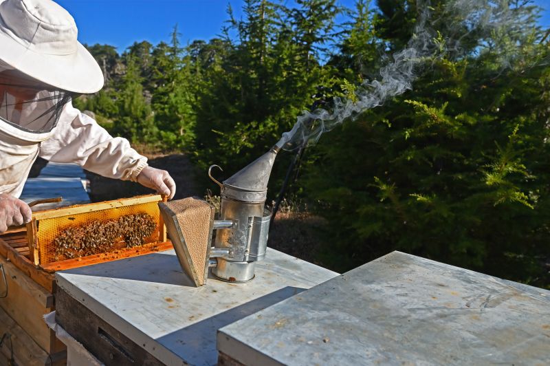 Products For Carpenter Bee Removals in use