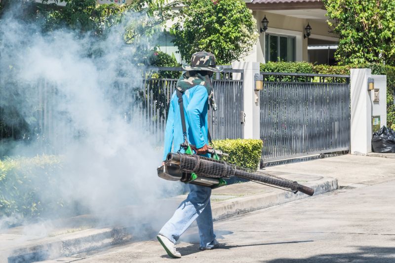 Rat Fumigation Service in West Palm Beach, FL