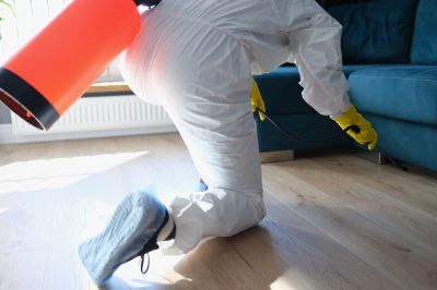 Spider Fumigation Service in San Antonio, TX