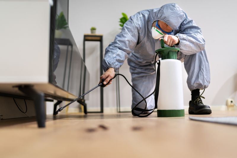 Spider Fumigation Service in Clarksville, TN
